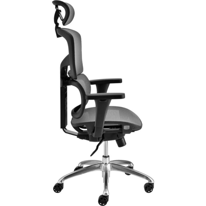 Interion Ergonomic Mesh Task Chair Wayfair